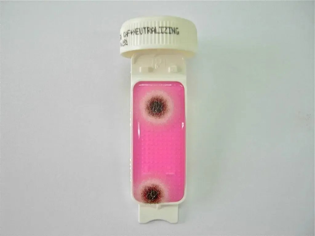 Liofilchem Contact Slide 2 53527