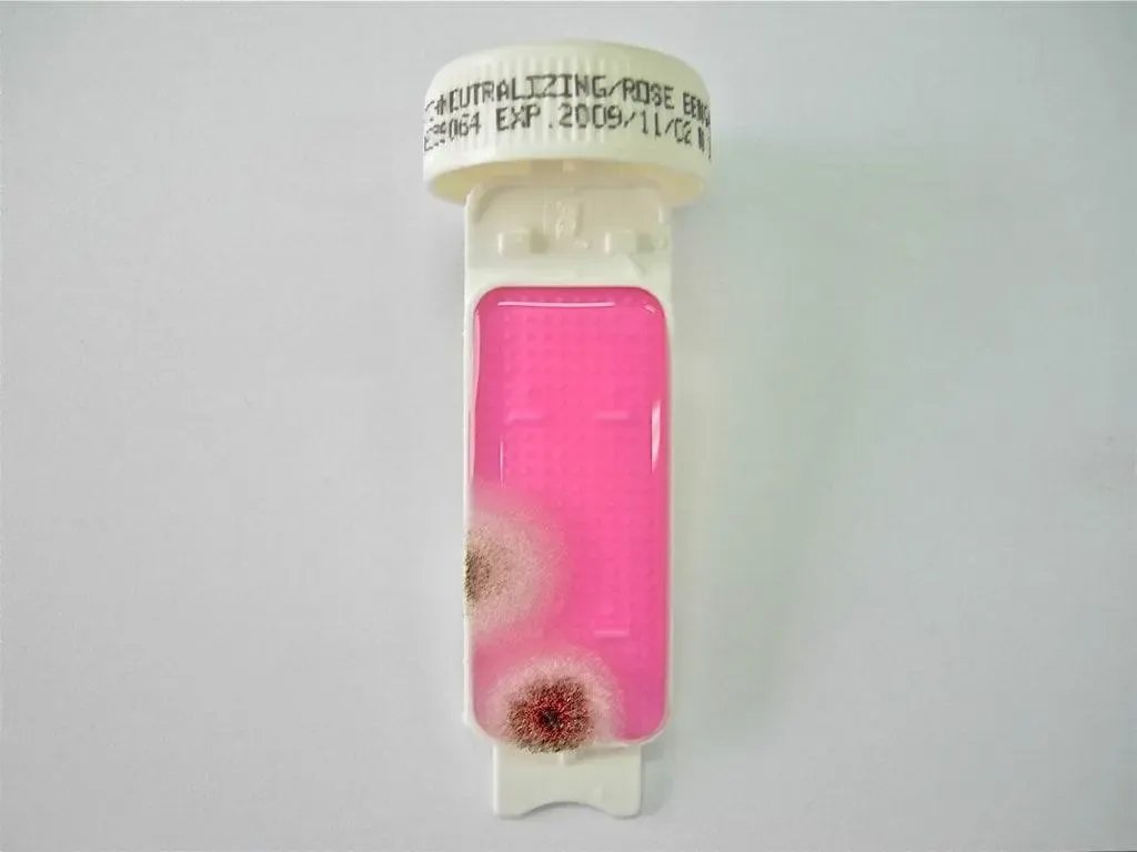 Liofilchem Contact Slide 2 53527