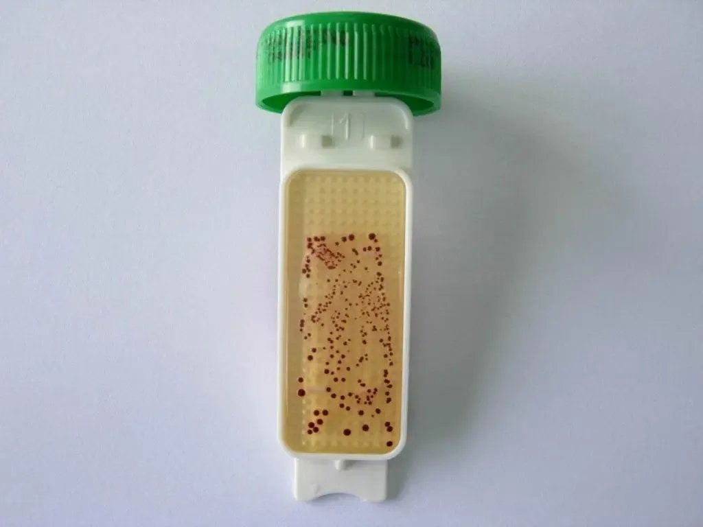 Liofilchem Contact Slide 3 53530