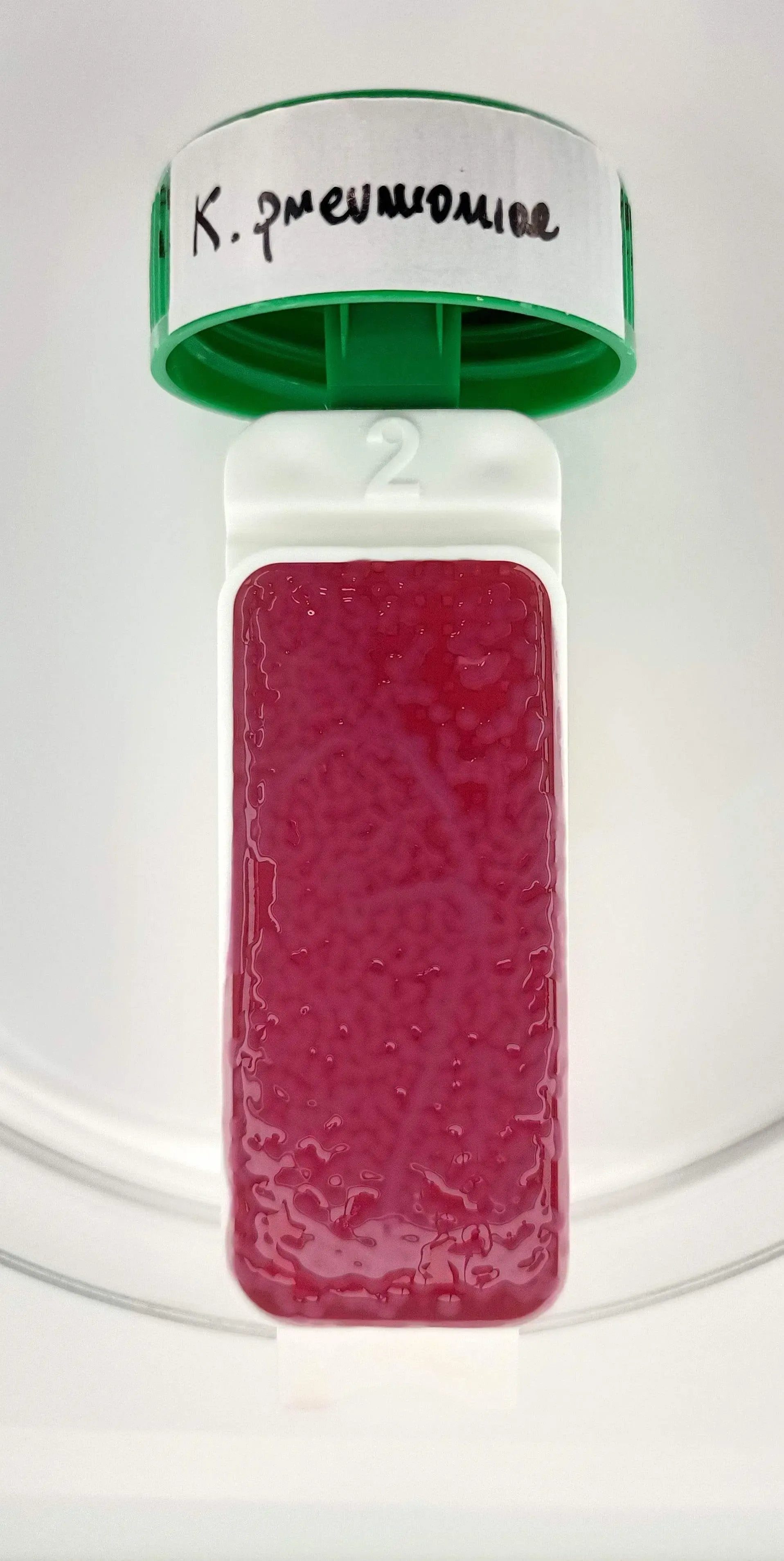 Liofilchem Contact Slide 8 53562
