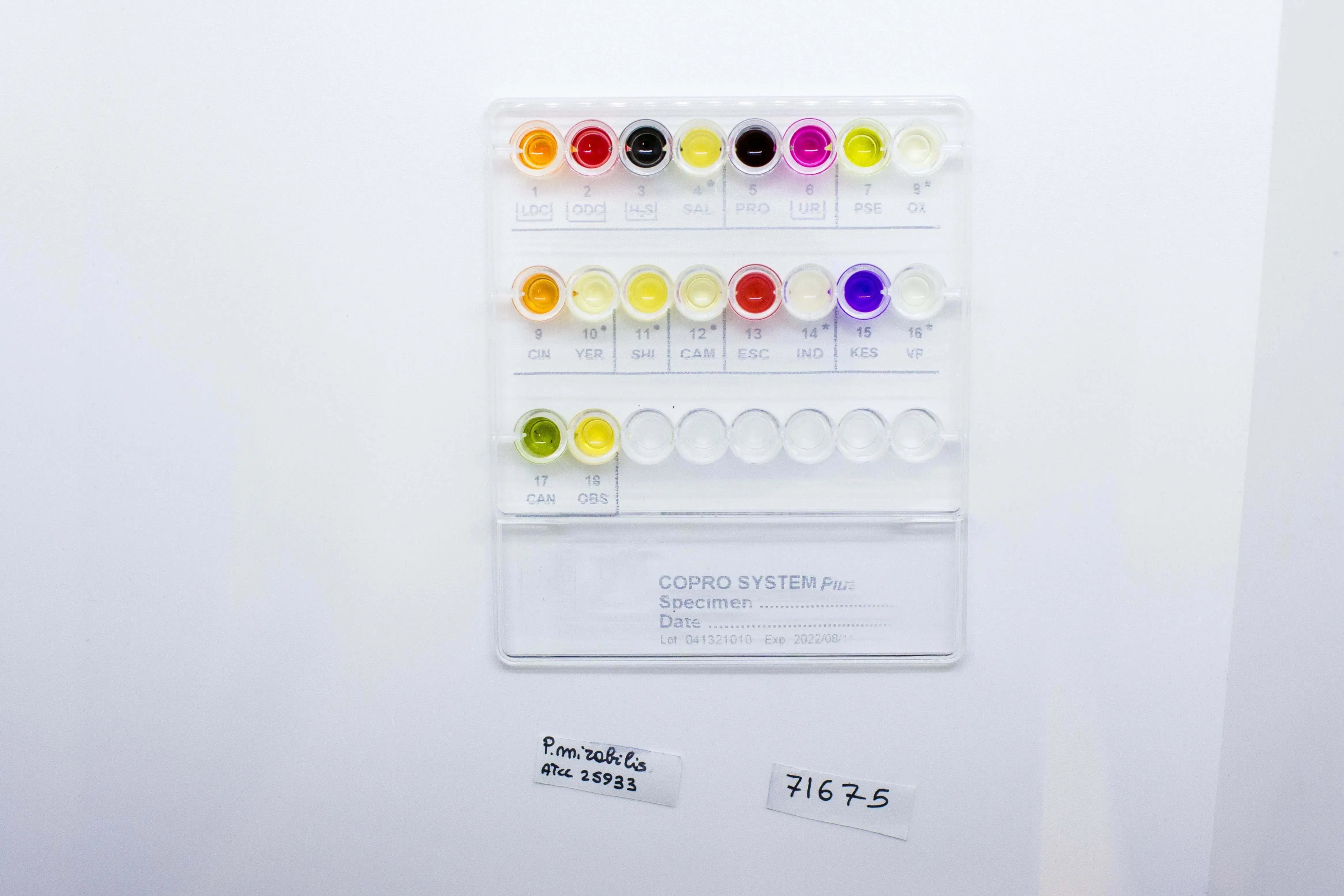 Liofilchem COPRO SYSTEM PLUS 79675