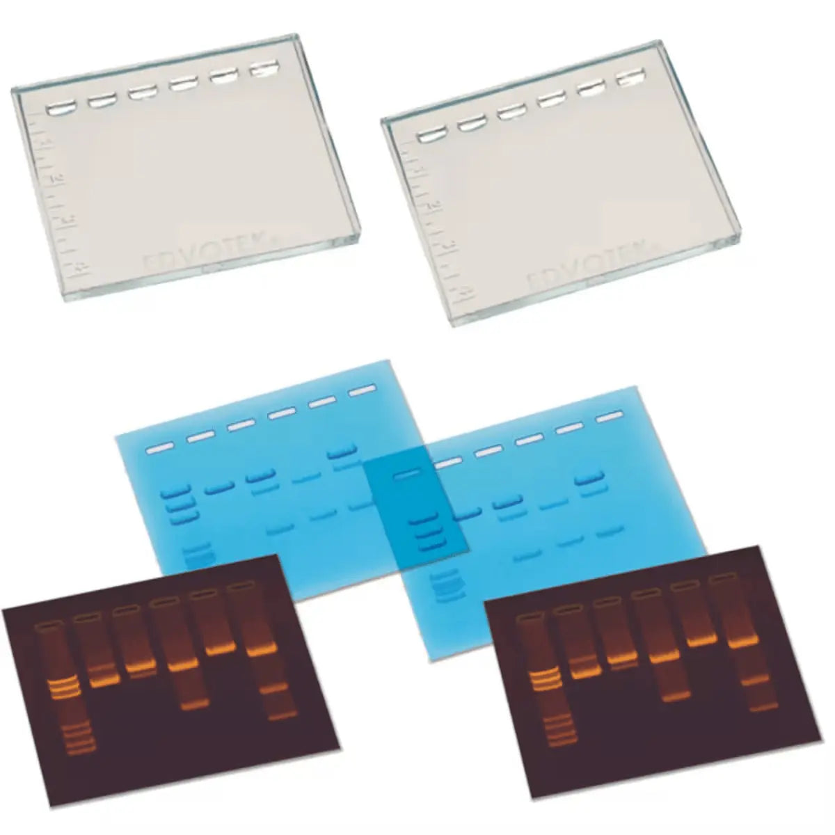EDVOTEK Biotech Education UNIT DNA DuraGel™ (2 Gels)