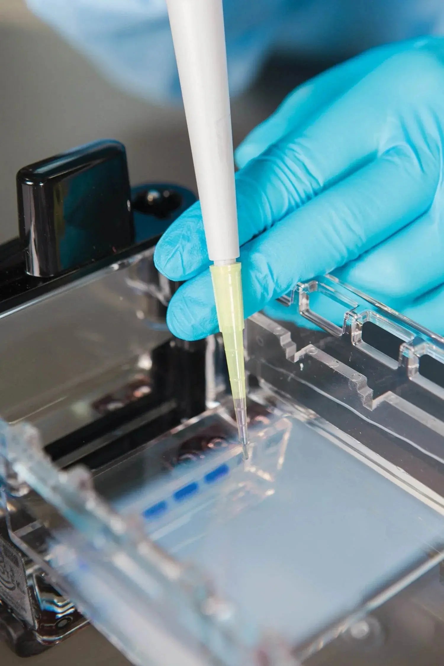 EDVOTEK Biotech Education UNIT DNA Fingerprinting by Restriction Enzyme Patterns