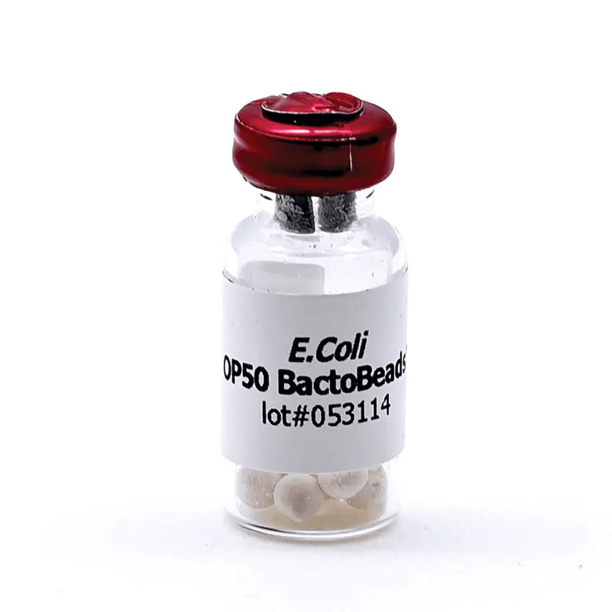 EDVOTEK Biotech Education UNIT E. coli OP50 BactoBeads™
