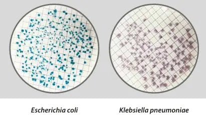 Liofilchem Easy Dry Chromatic Coli Coliform 87519
