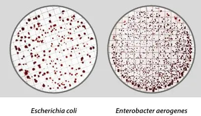 Liofilchem Easy Dry Plate Count + TTC Microbiology Plates 87501