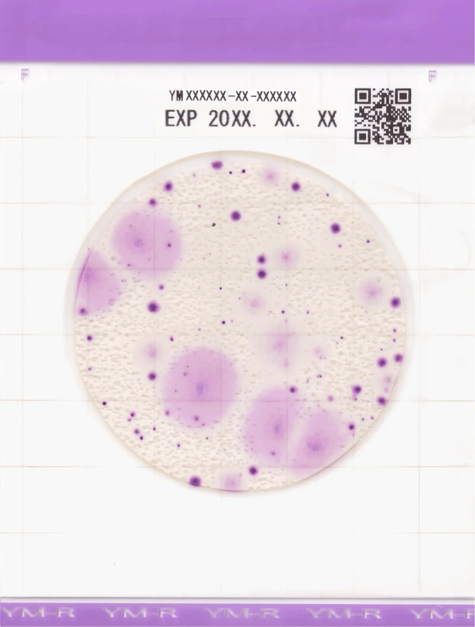 Kormay Biomedicals store Easy Plate (25x4 bags) Easy Plate YM-R   (Prepared media plate yeast and mold count (Rapid Type))