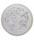 Easy Dry Tergitol - Petri dish