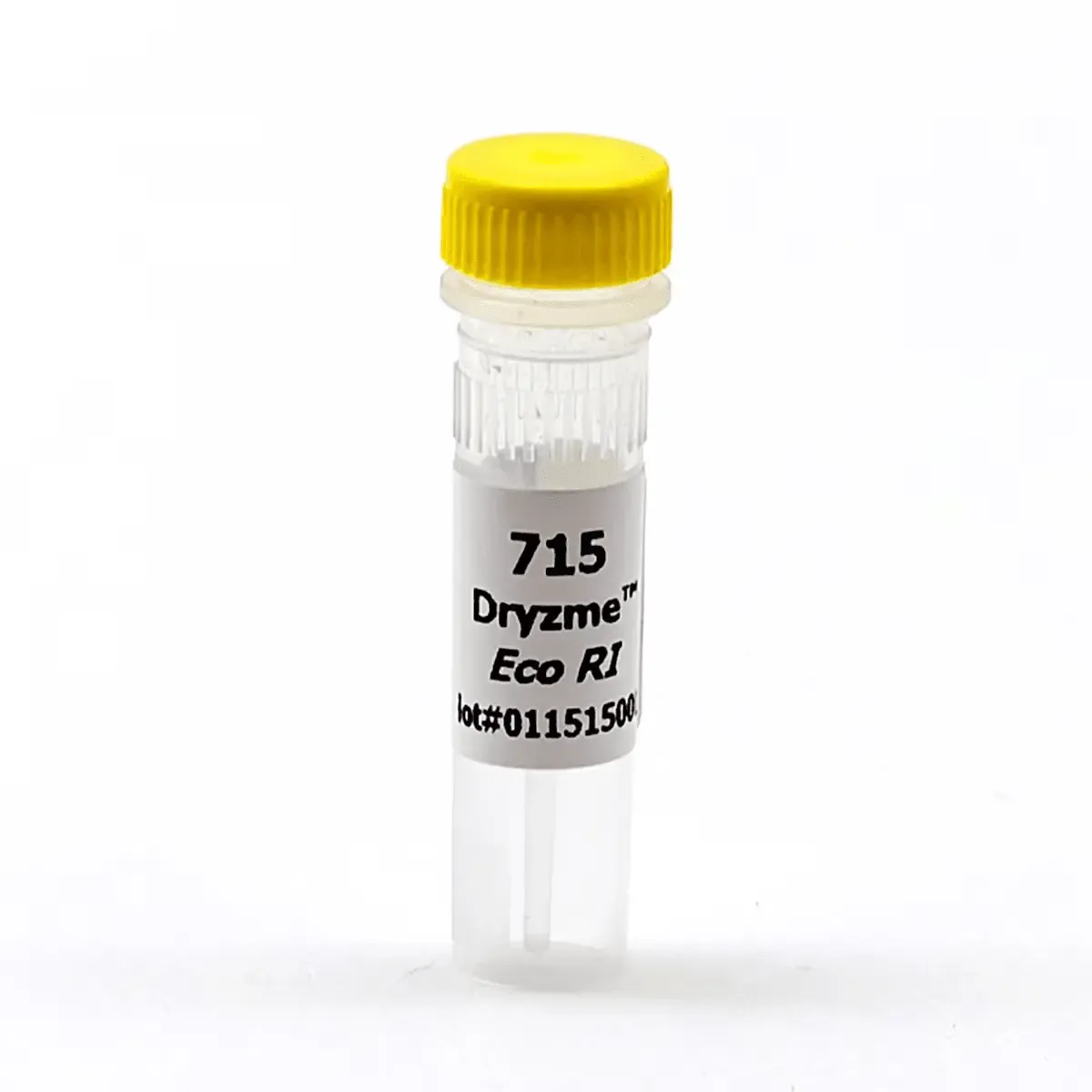 EDVOTEK Biotech Education UNIT Eco RI Dryzyme® (1500 units)