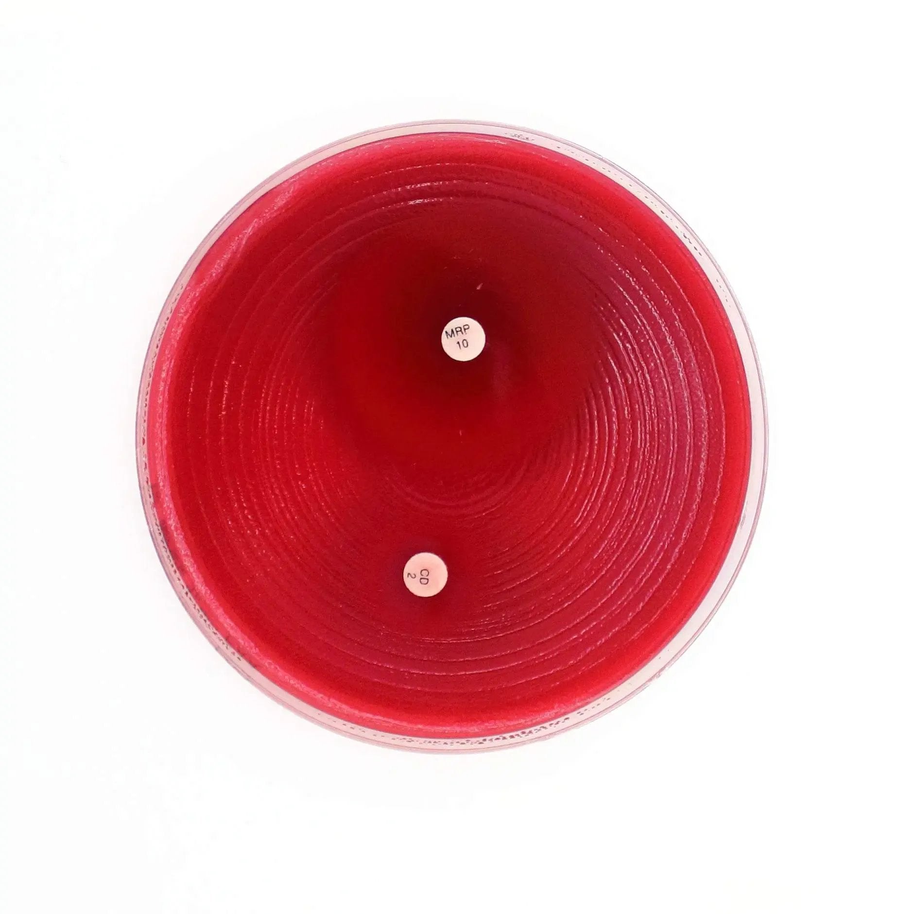 Liofilchem Fastidious Anaerobe Agar Culture Media 10062