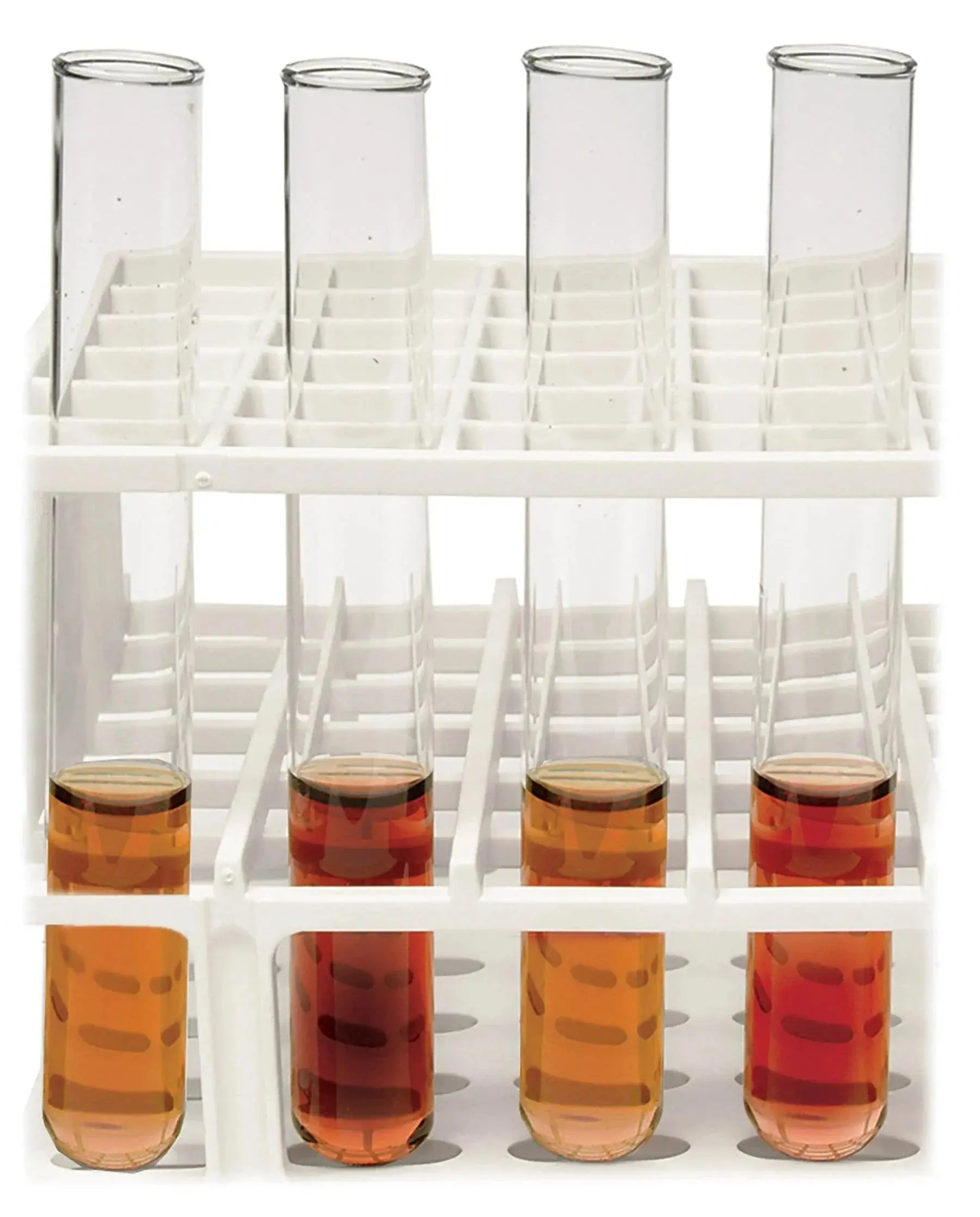 EDVOTEK Biotech Education UNIT Forensic Enzymology