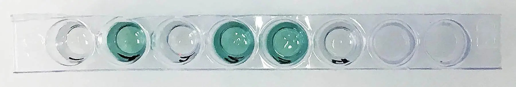 EDVOTEK Biotech Education UNIT Identifying the Epstein Barr Virus Using ELISA