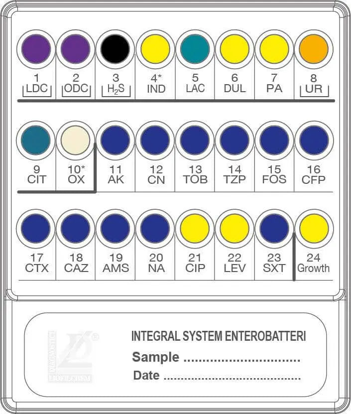 Liofilchem INTEGRAL SYSTEM ENTEROBATTERI 71714