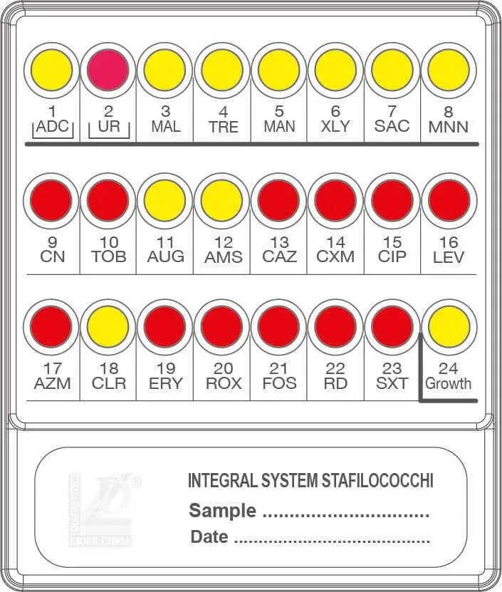 Liofilchem INTEGRAL SYSTEM STAFILOCOCCHI 79718