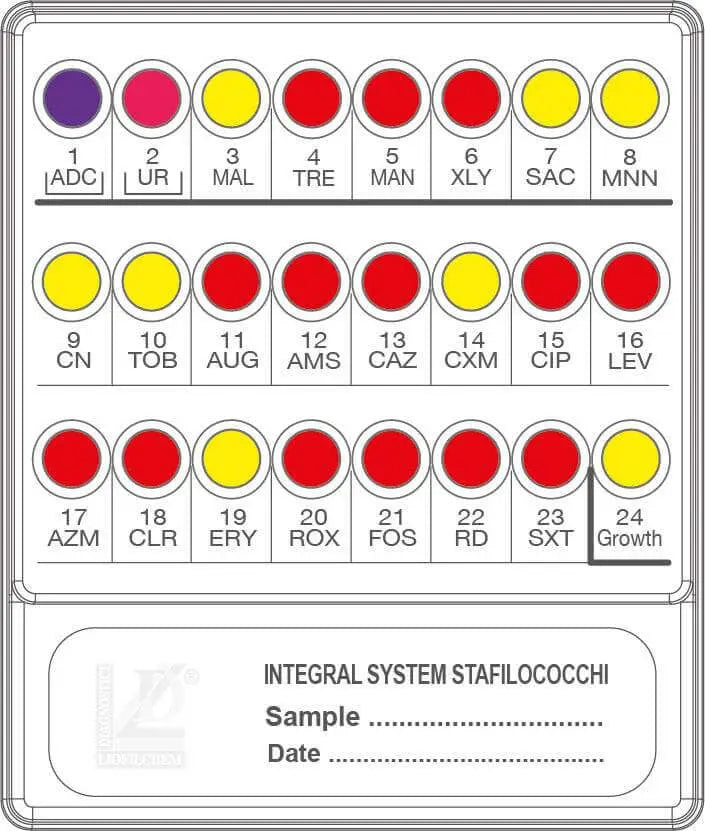 Liofilchem INTEGRAL SYSTEM STAFILOCOCCHI 79718