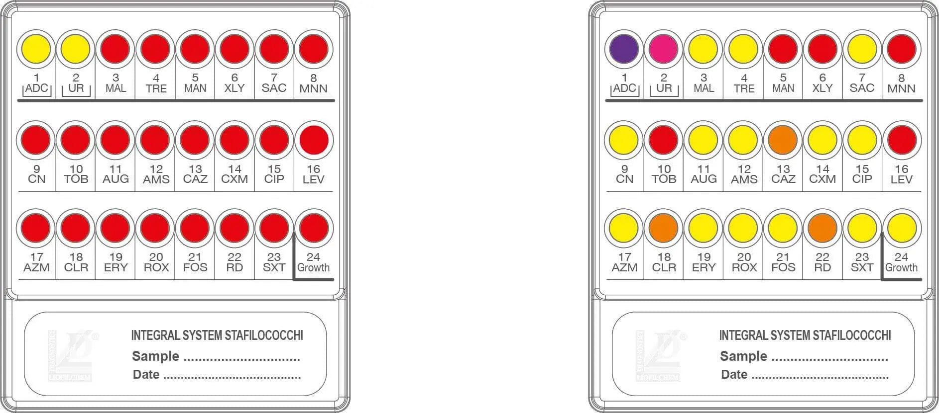 Liofilchem INTEGRAL SYSTEM STAFILOCOCCHI 79718