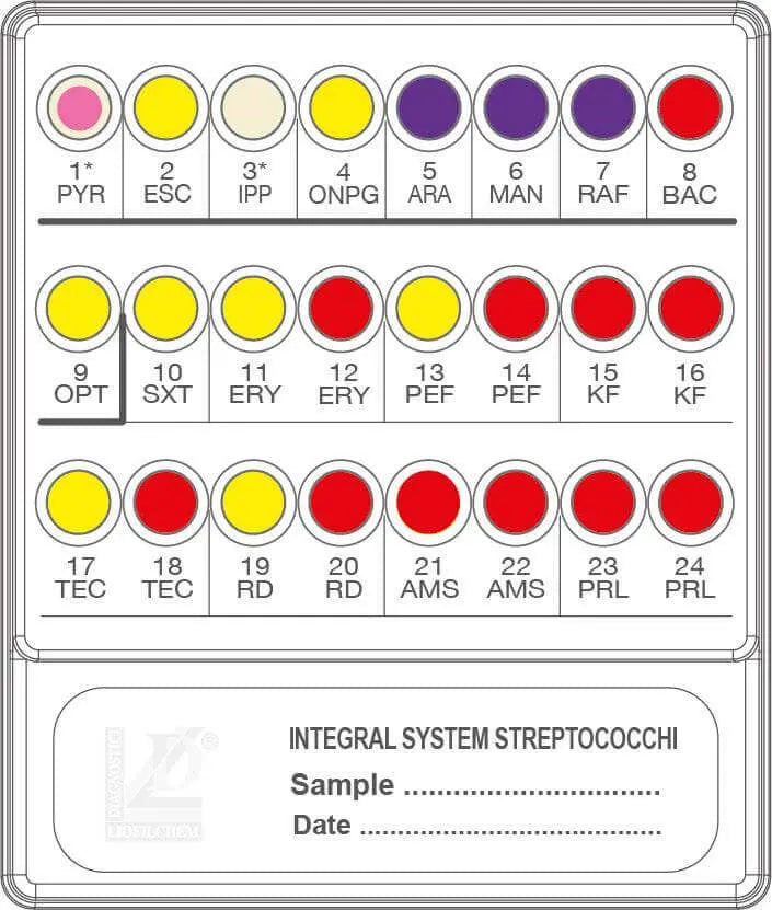 Liofilchem INTEGRAL SYSTEM StreptoCOCCHI 79720