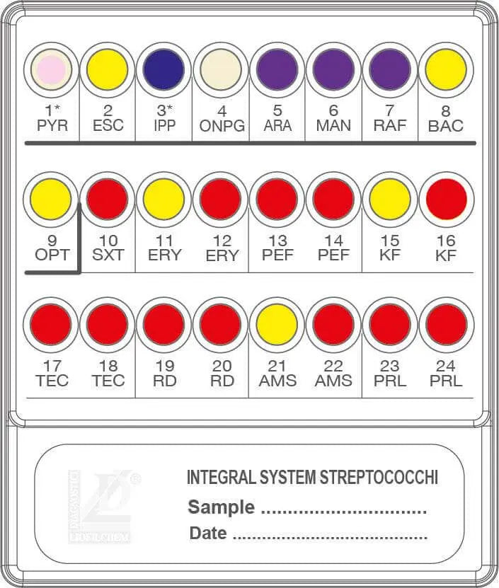 Liofilchem INTEGRAL SYSTEM StreptoCOCCHI 79720