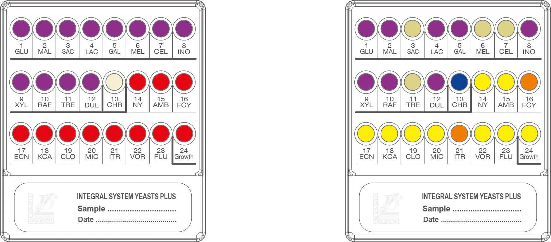 Liofilchem INTEGRAL SYSTEM Yeasts Plus 71822