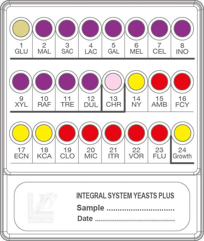 Liofilchem INTEGRAL SYSTEM Yeasts Plus 71822