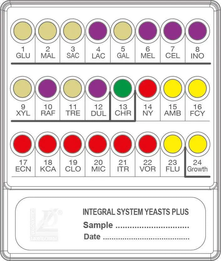 Liofilchem INTEGRAL SYSTEM Yeasts Plus 71822