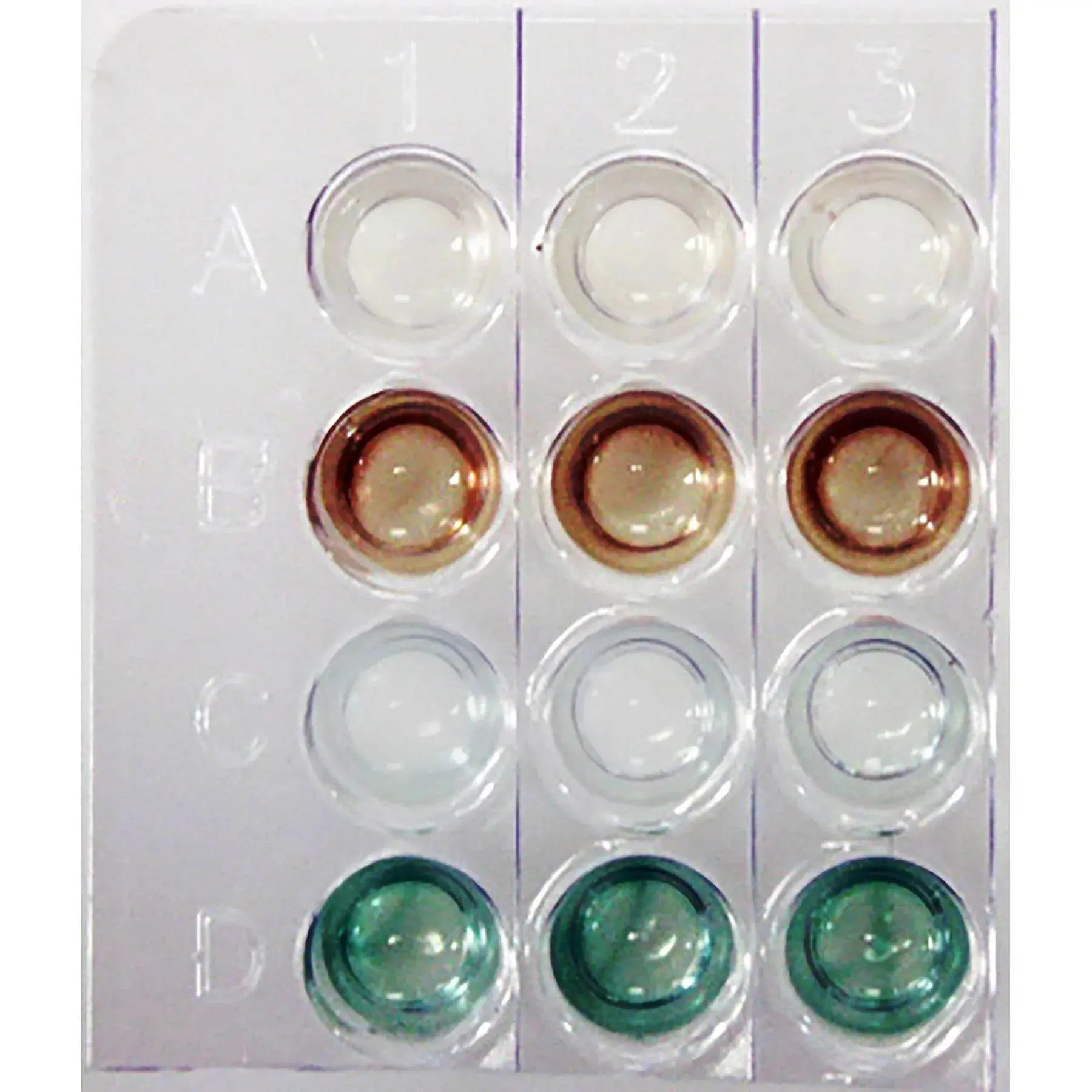 EDVOTEK Biotech Education UNIT Introduction to ELISA Reactions
