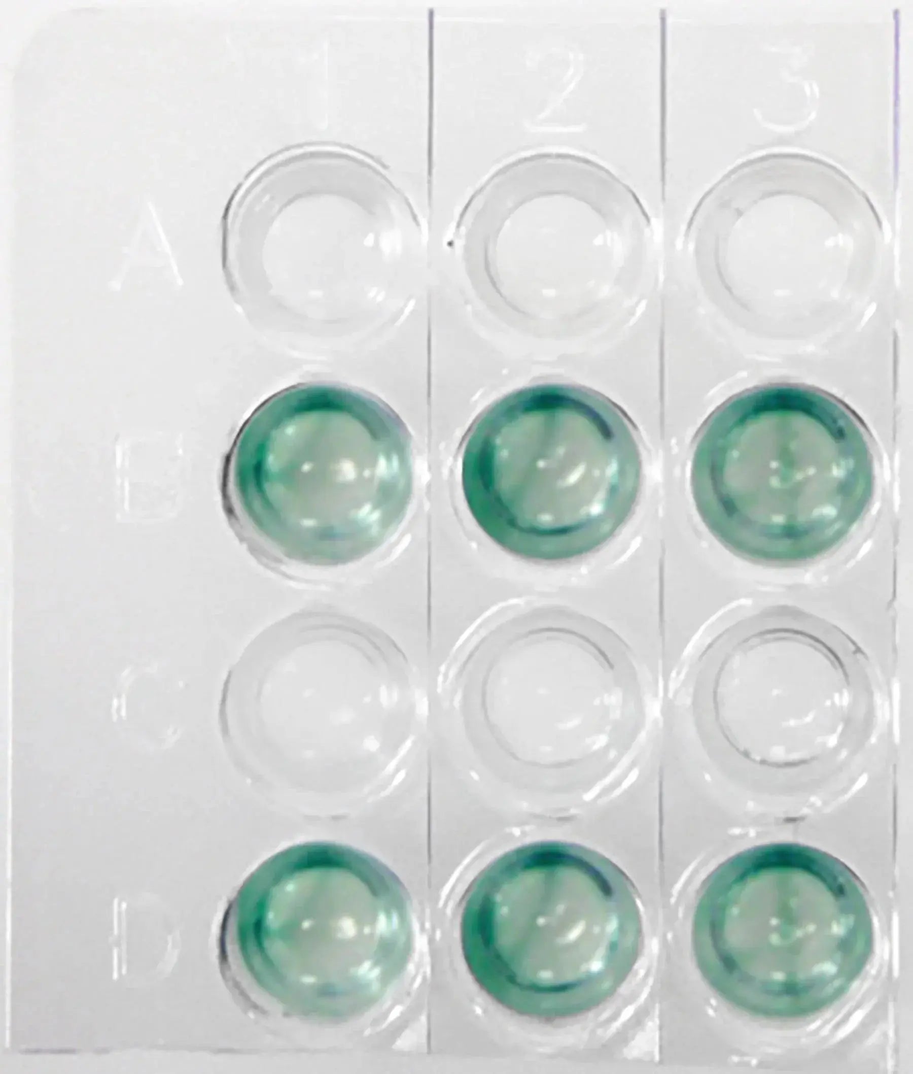 EDVOTEK Biotech Education UNIT Investigating Human Health Using ELISA