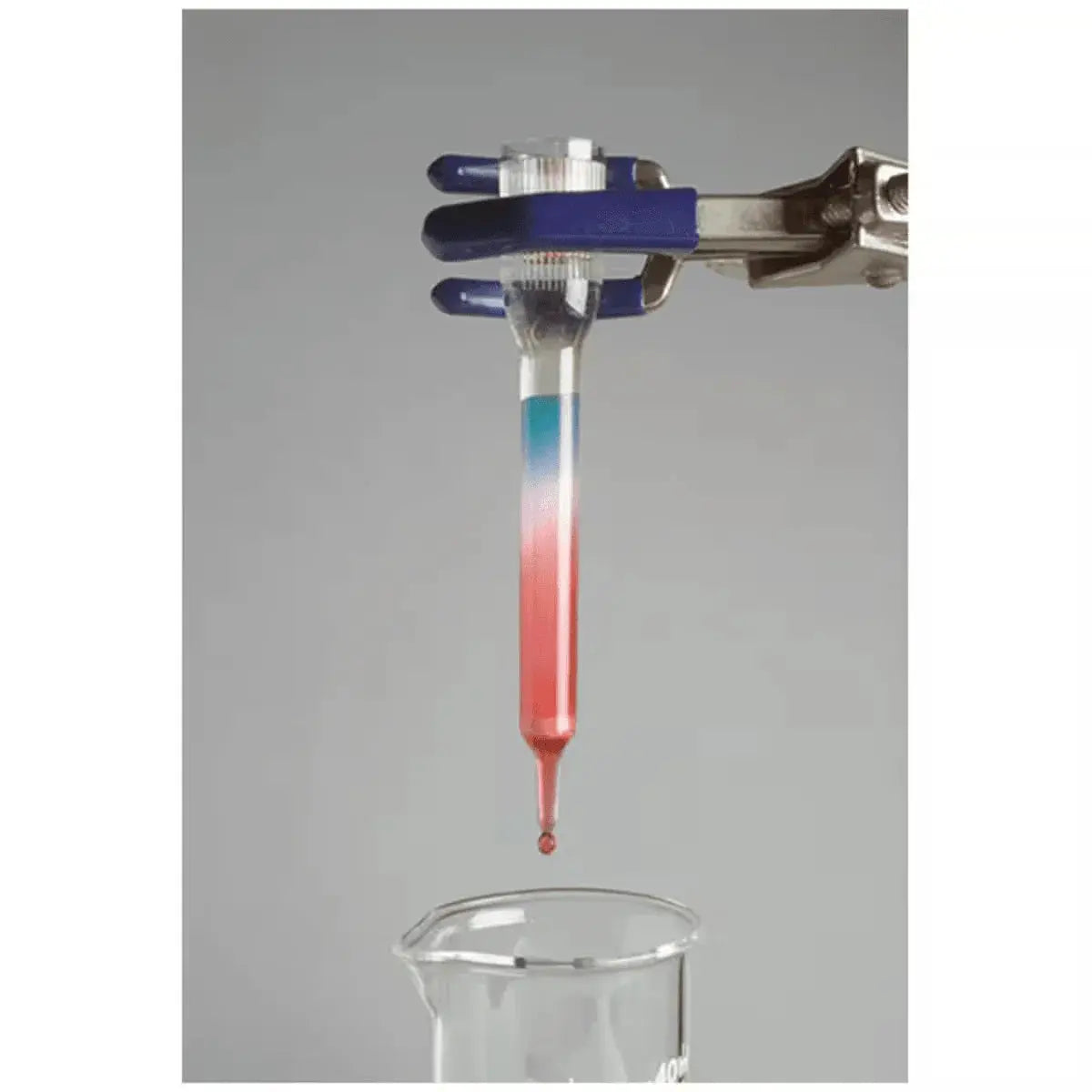 EDVOTEK Biotech Education UNIT Ion Exchange Chromatography