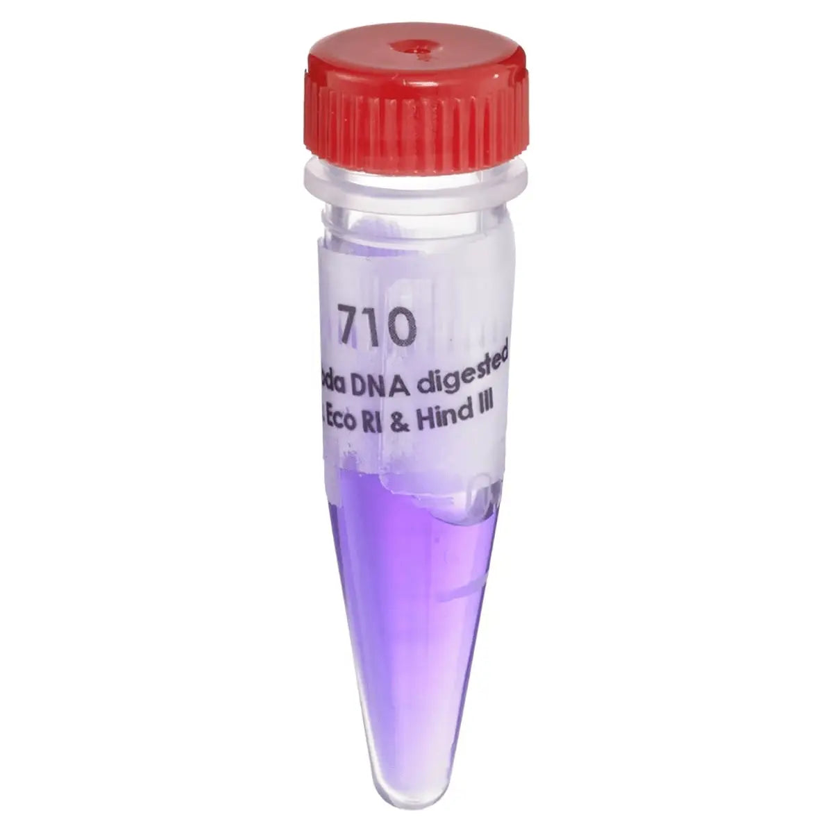 EDVOTEK Biotech Education UNIT Lambda DNA digested with Eco RI & Hind III