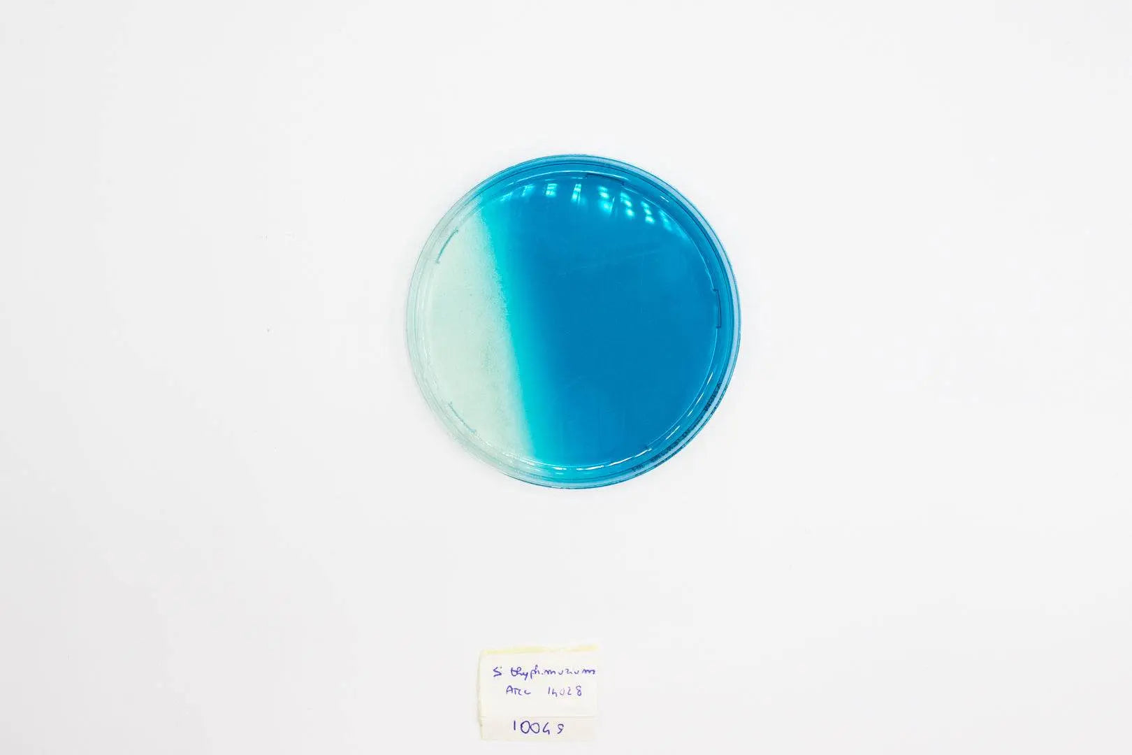 Liofilchem M.S.R.V. Agar Culture Media 10049