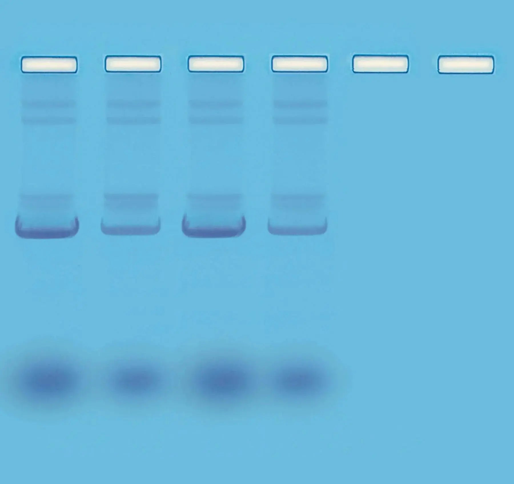 EDVOTEK Biotech Education UNIT Mini-Prep Isolation of Plasmid DNA