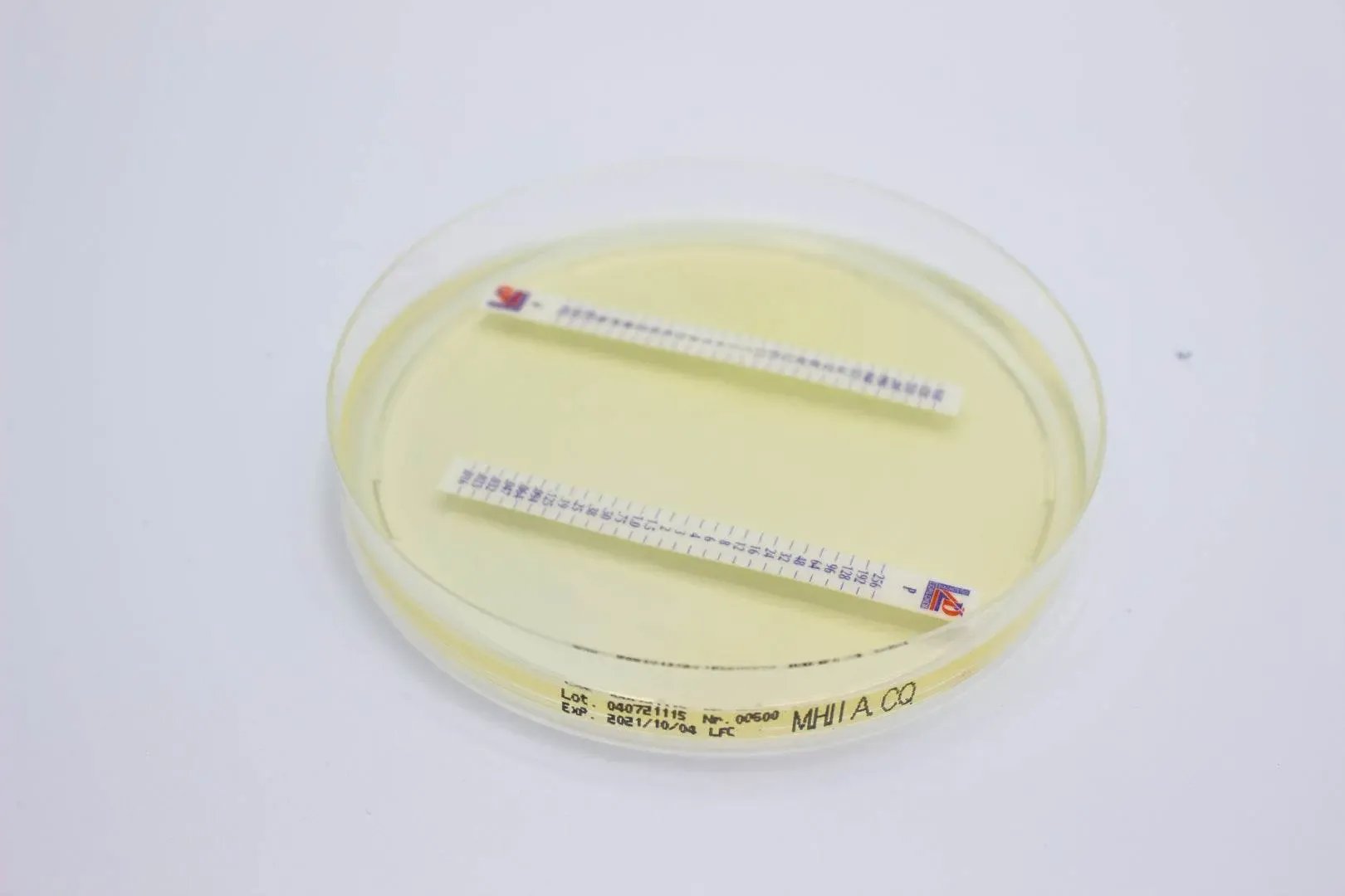 Liofilchem Mueller Hinton II Agar Culture Media 10231