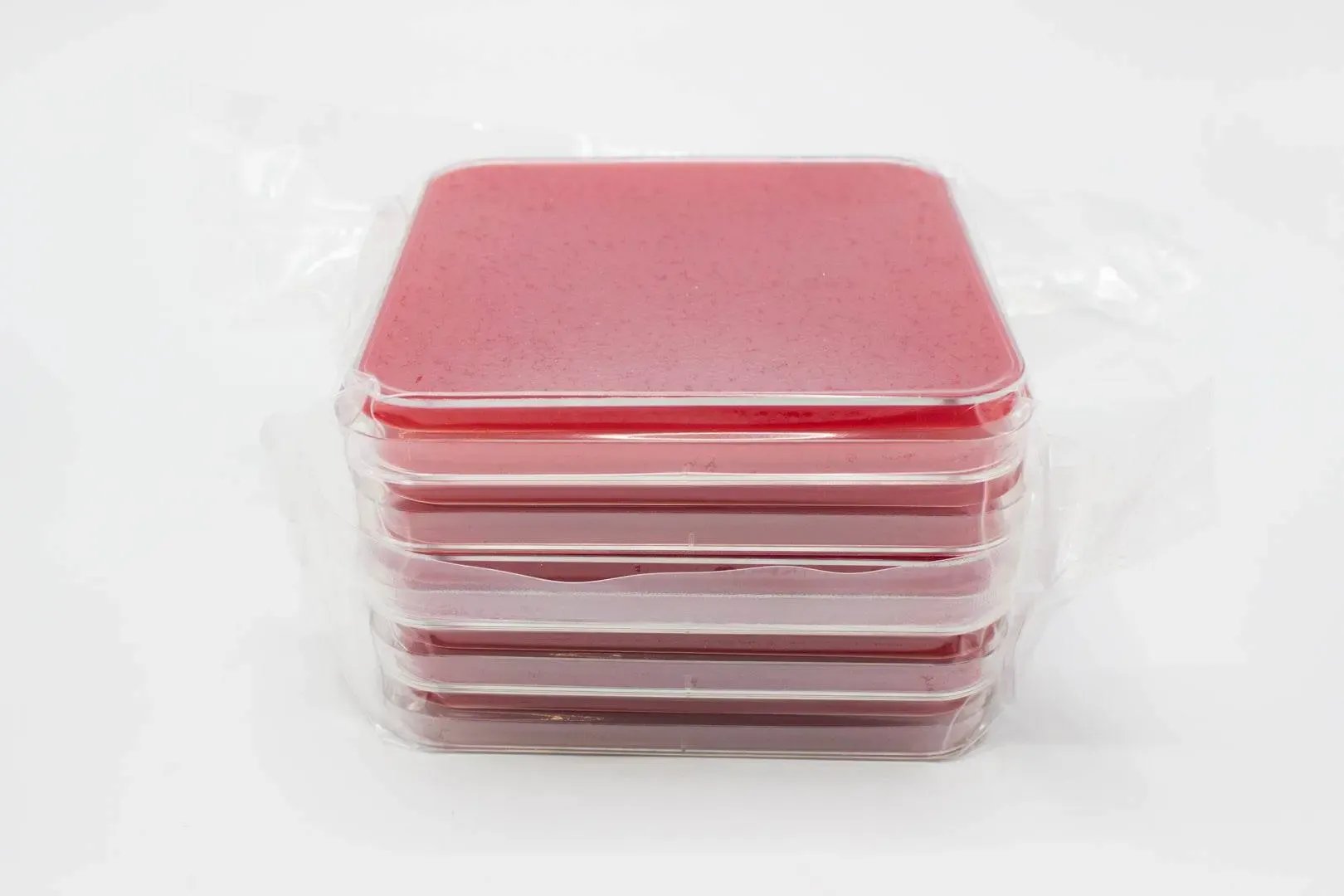 Liofilchem Mueller Hinton II Agar (Sheep Blood 5%) Culture Media 10131