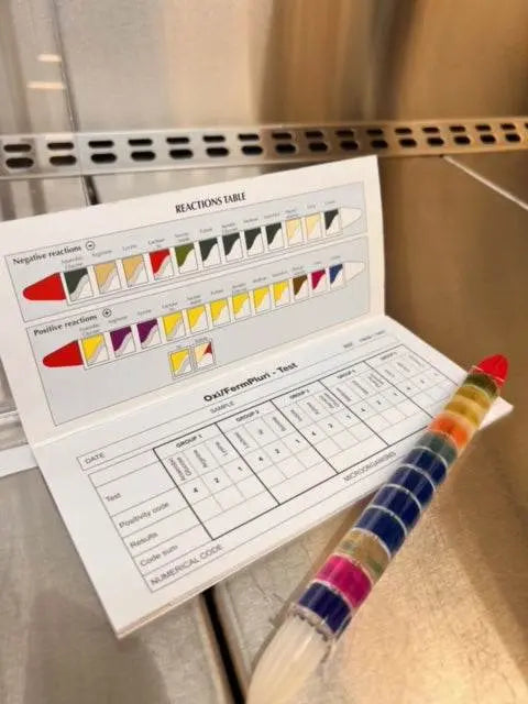 Liofilchem OXI/FERM PLURI Test 78620