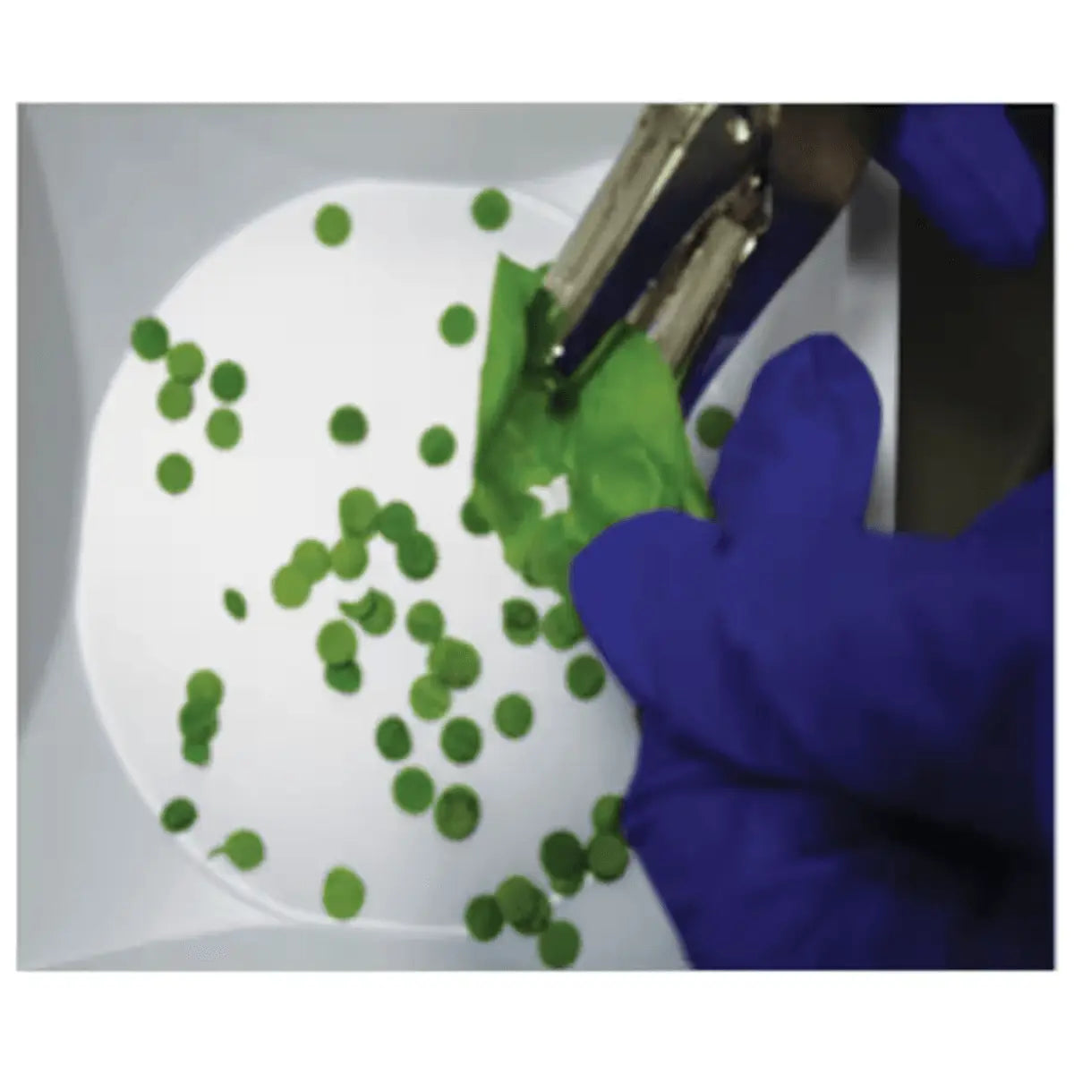 EDVOTEK Biotech Education UNIT Photosynthesis