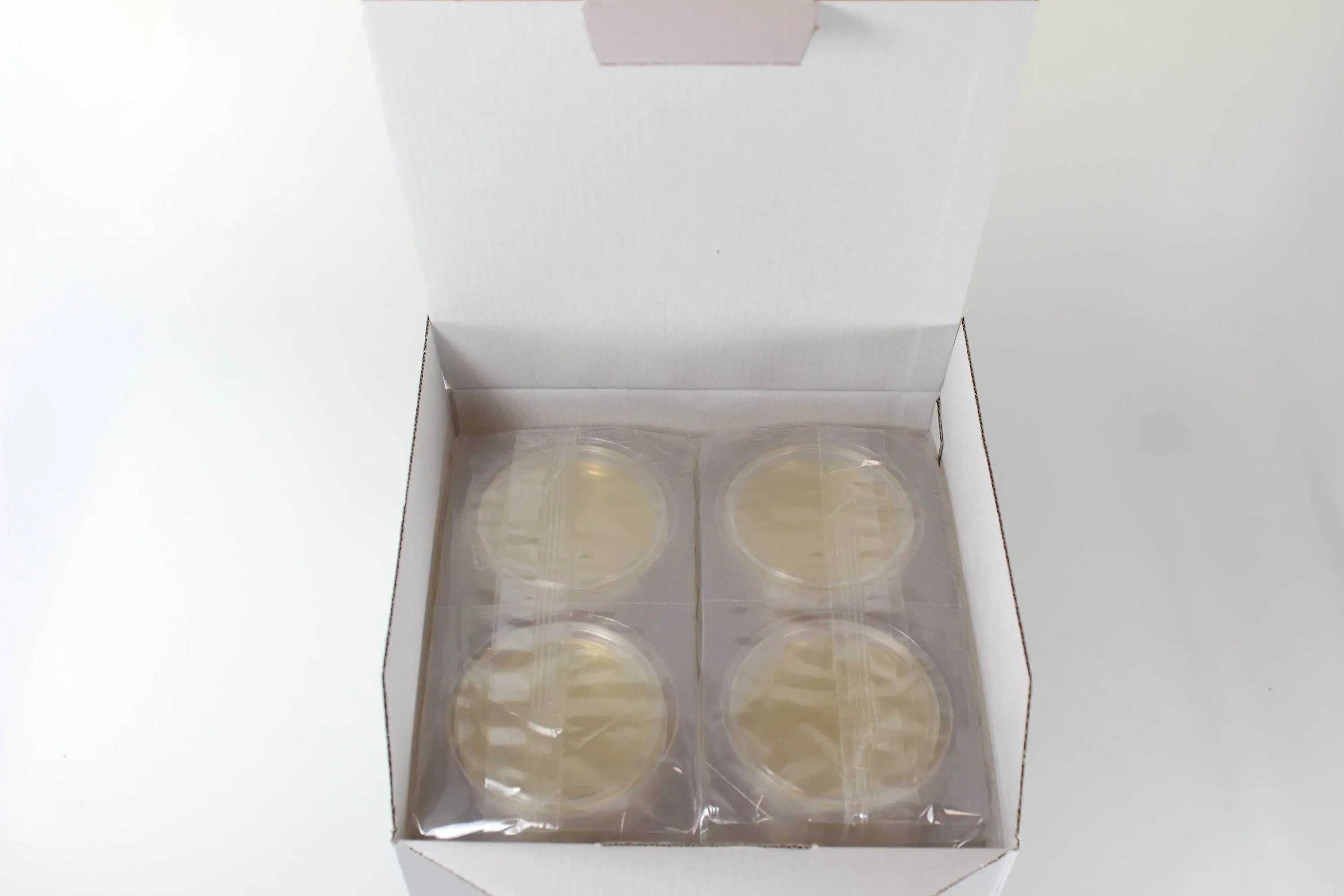 Liofilchem Plate Count Agar + Neutralizing Culture Media 15336