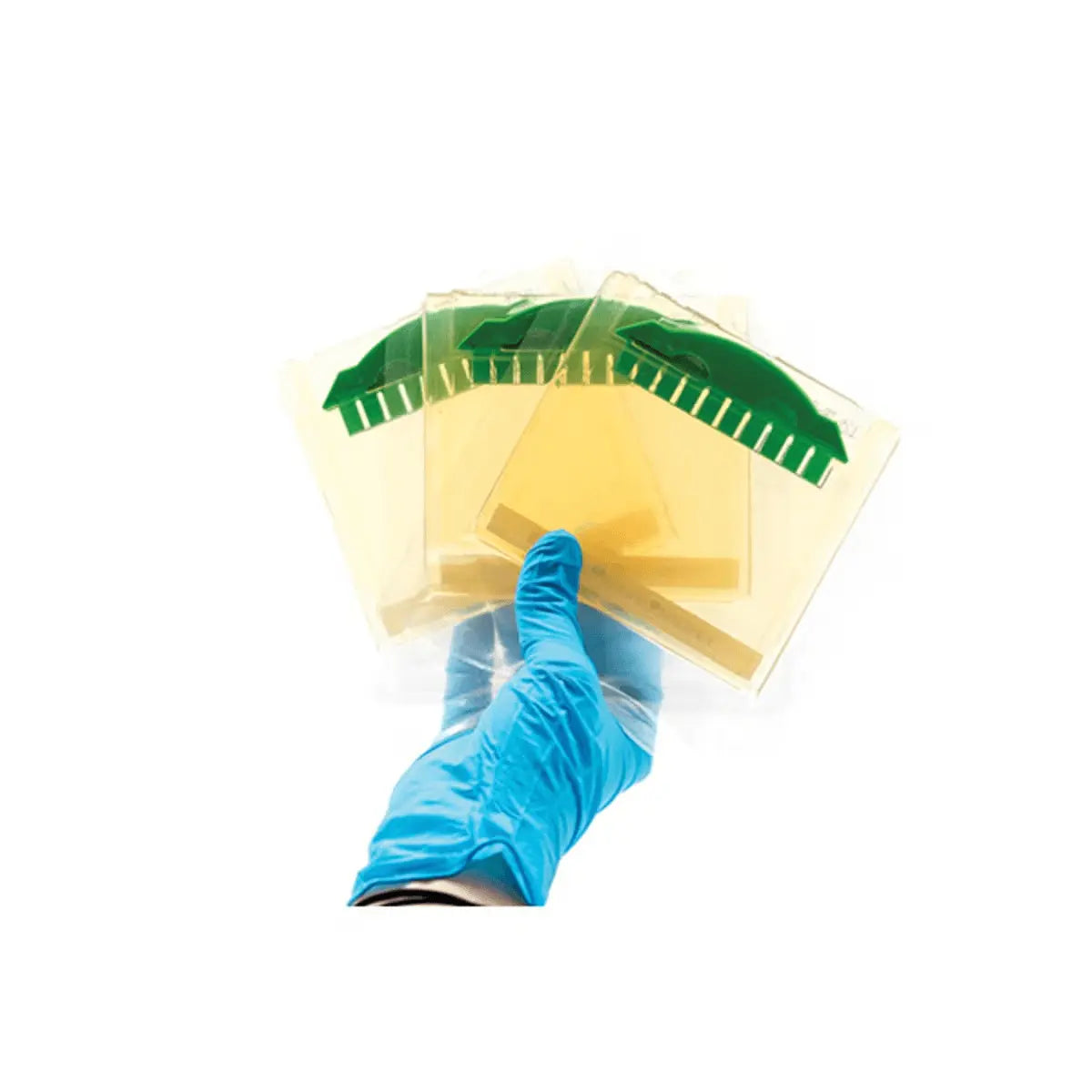 EDVOTEK Biotech Education UNIT Pre-cast Polyacrylamide Gels (3)