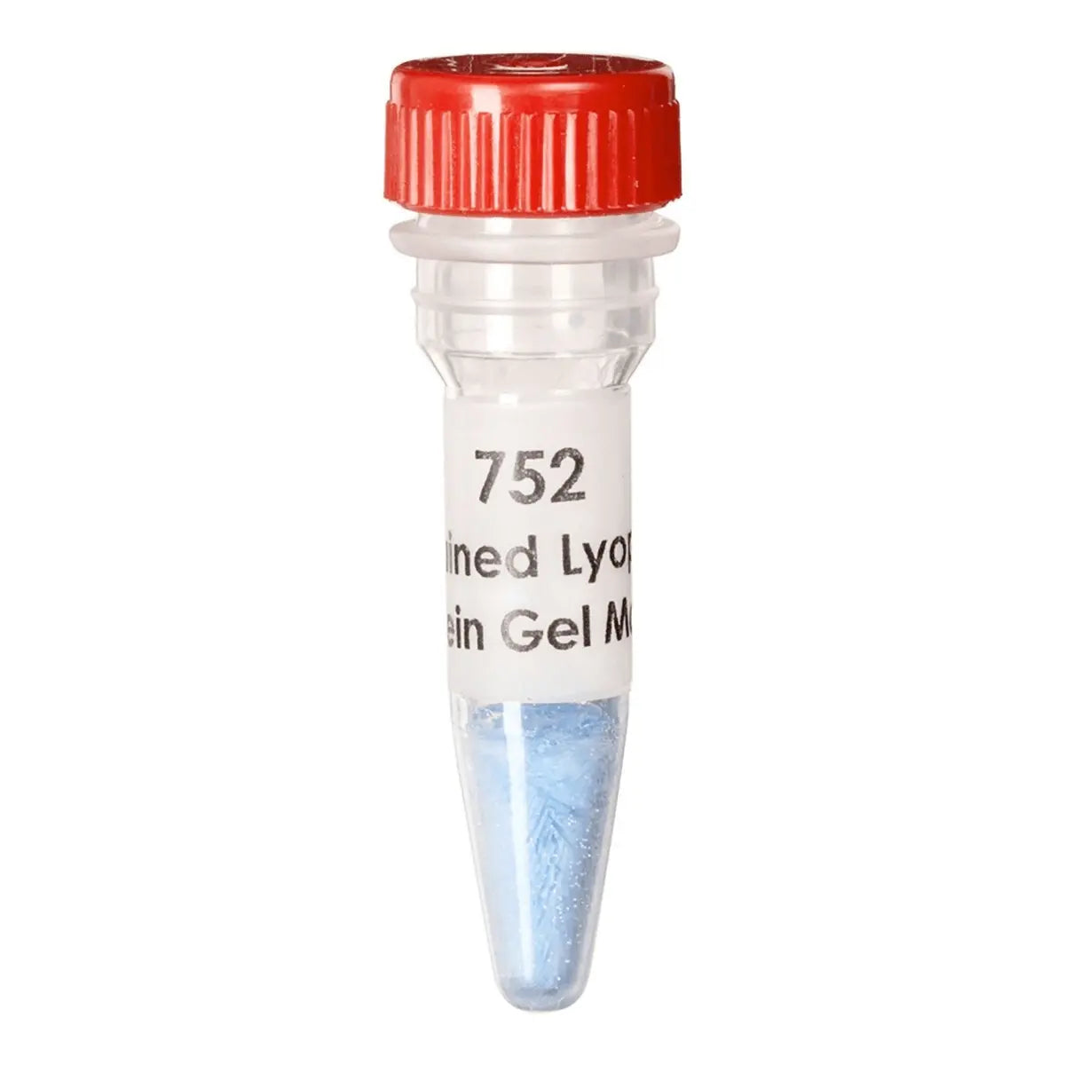 EDVOTEK Biotech Education UNIT Prestained Lyophilized Protein Gel Markers:  Molecular Weight Standards (for 20 gels)