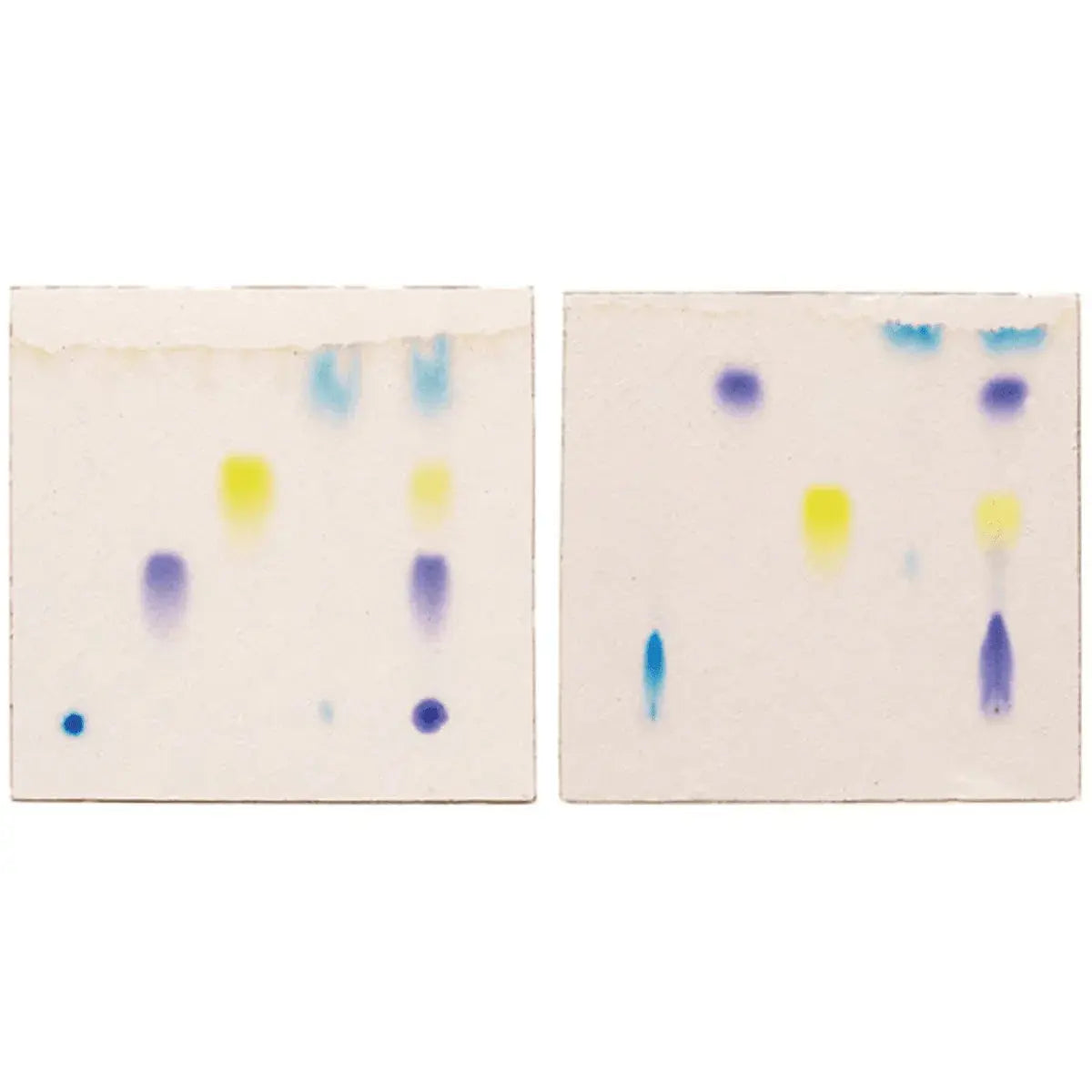 EDVOTEK Biotech Education UNIT Principles of Thin Layer Chromatography