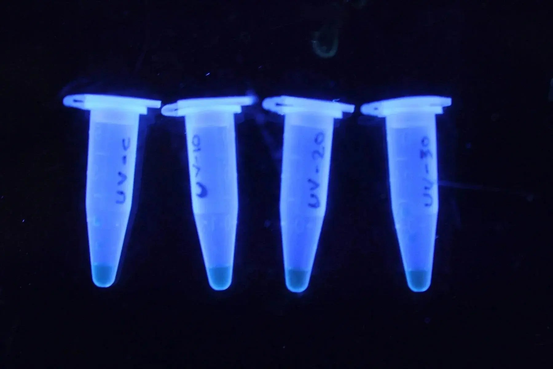 EDVOTEK Biotech Education UNIT Quantification of DNA Damage by qPCR