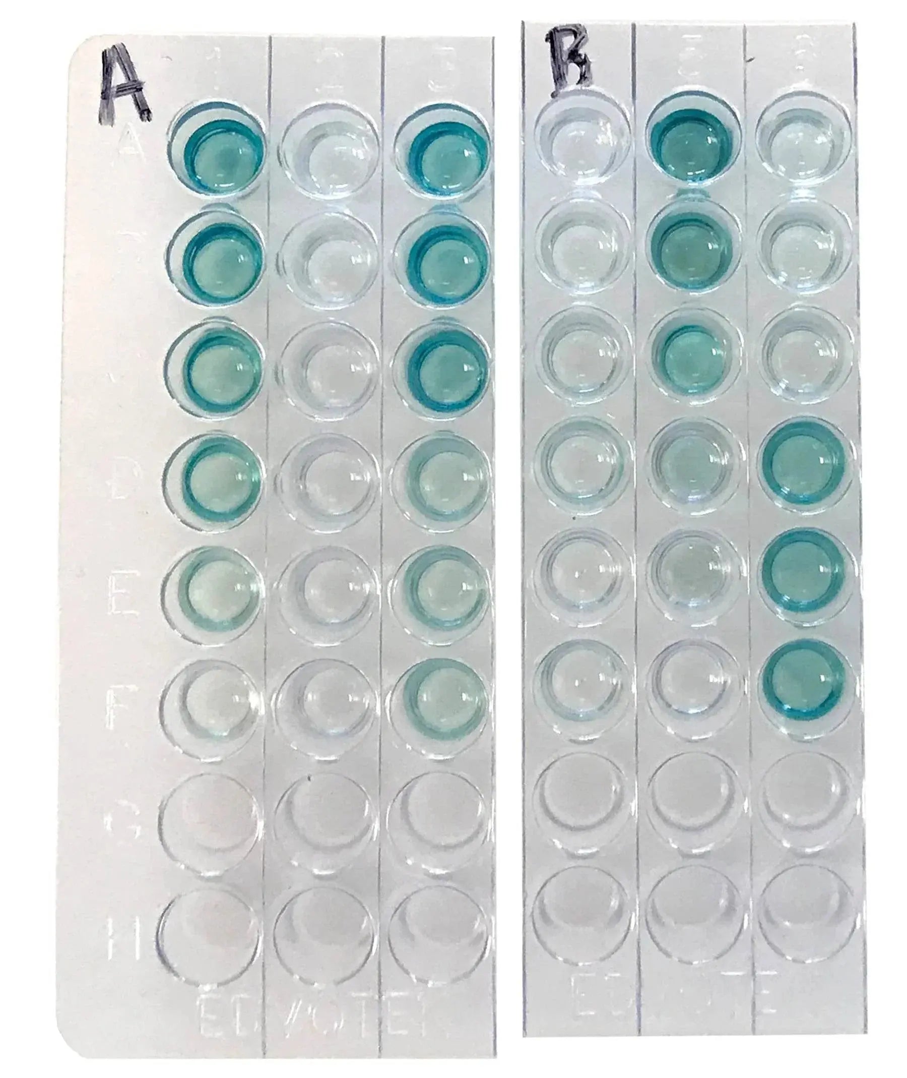 EDVOTEK Biotech Education UNIT Quantitative ELISA