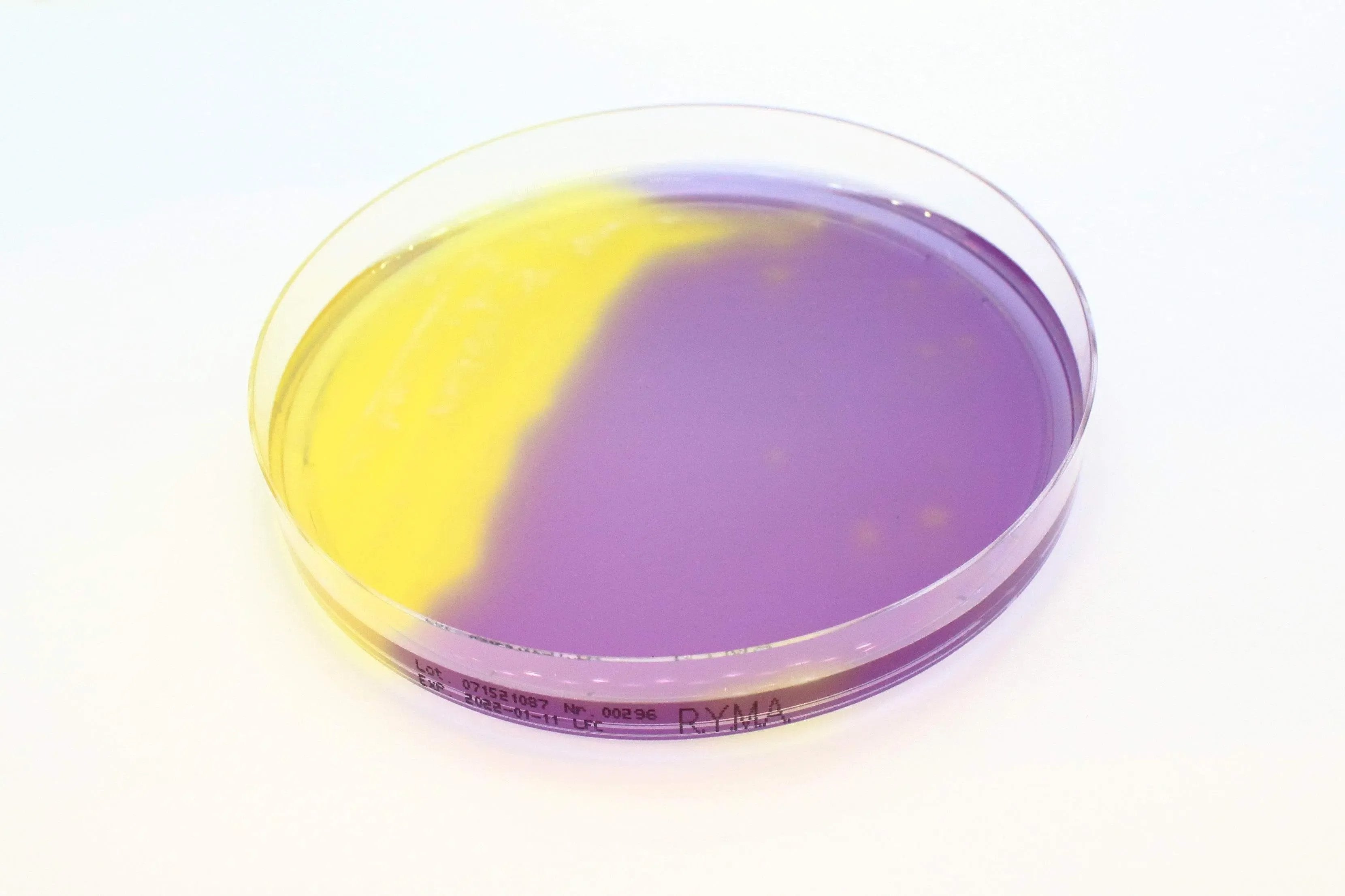 Liofilchem Rapid Y/M Agar Culture Media 10456