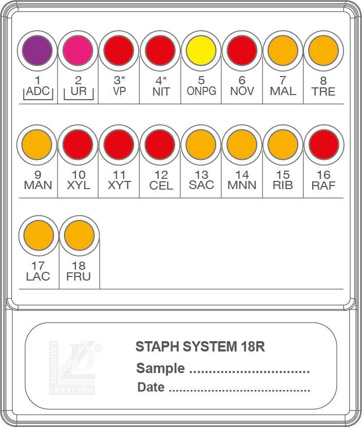 STAF SYSTEM 18 R - Kormay Biomedicals store