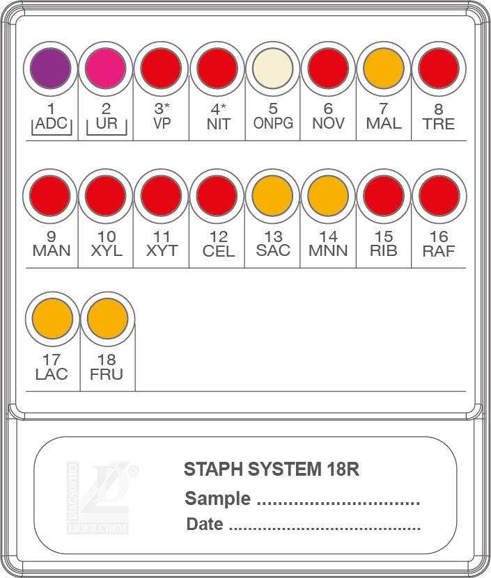 STAF SYSTEM 18 R - Kormay Biomedicals store