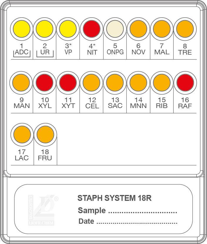 STAF SYSTEM 18 R - Kormay Biomedicals store