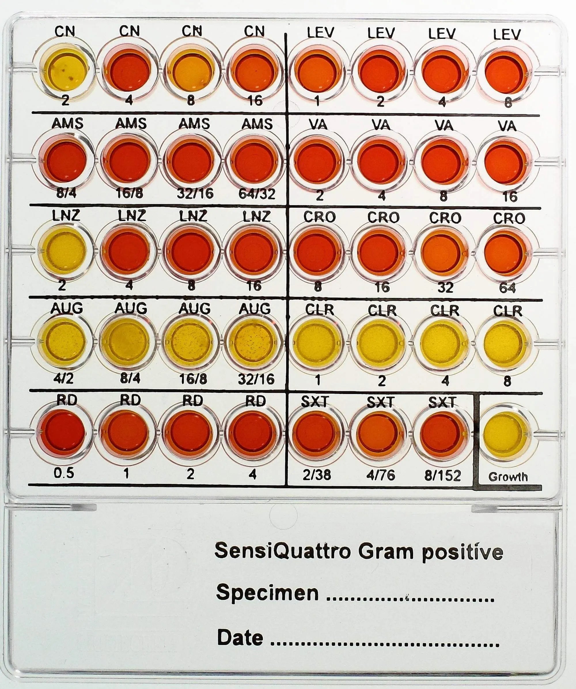 Liofilchem SensiQuattro Gram-positive 76032