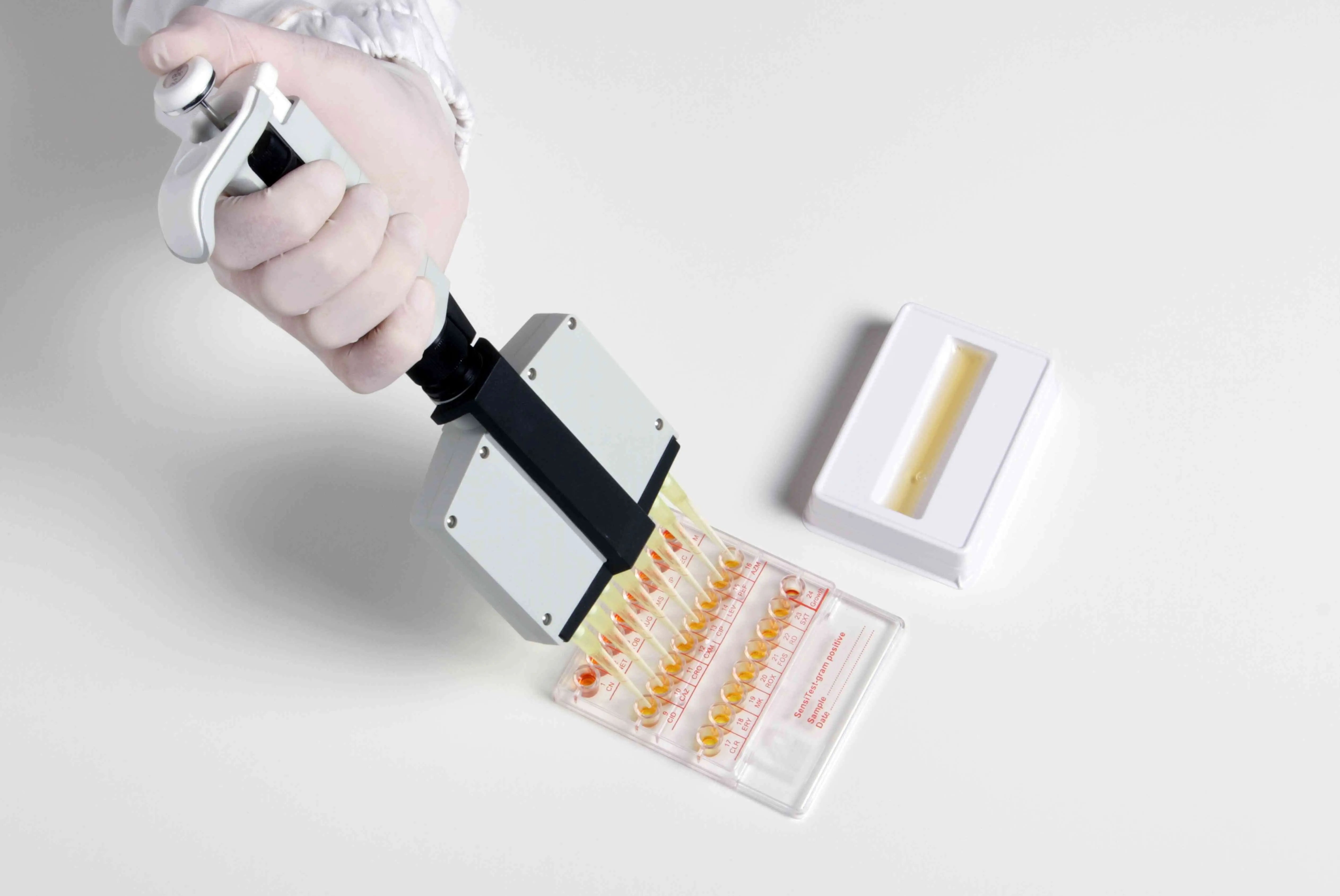 Liofilchem SensiTest Gram-positive 79020