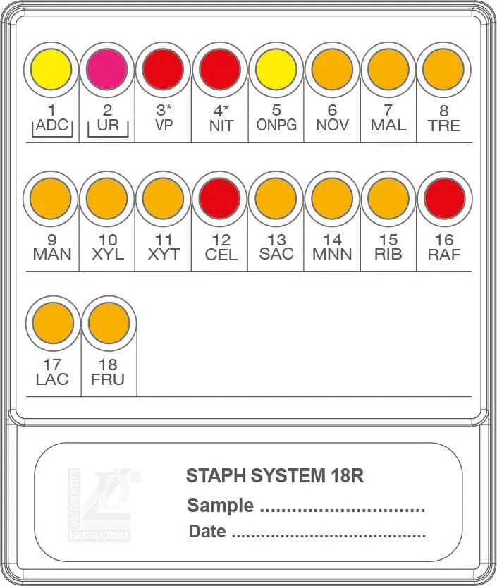 Liofilchem STAF SYSTEM 18 R 71630