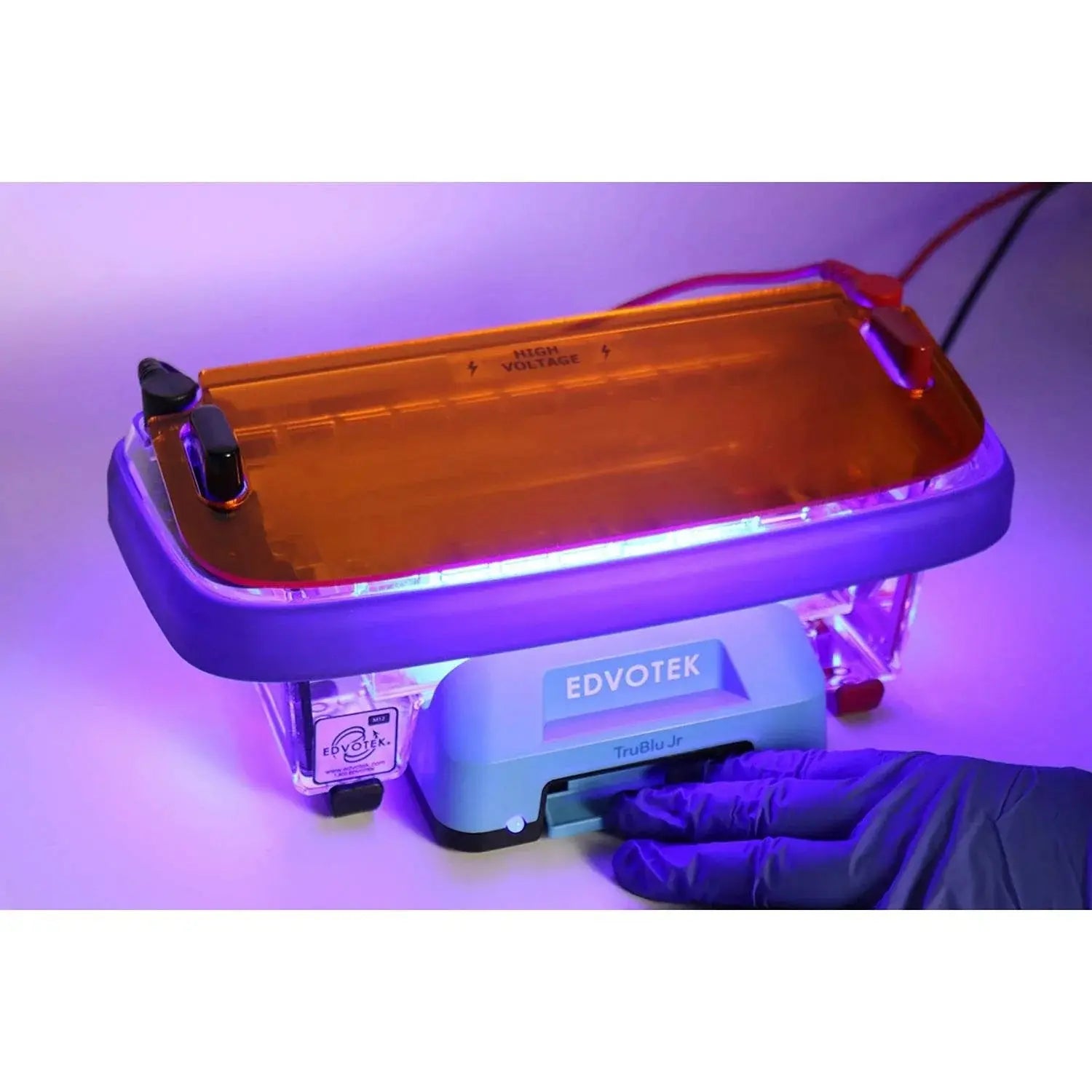 EDVOTEK TruBlu™ Jr. Blue Light Transilluminator (10 x 6 cm) 555