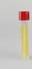 Liofilchem Tryptone Sulfite Neomycin Agar Culture Media 31201